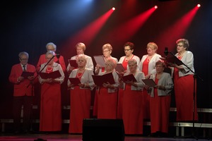 Zdjęcie przedstawia śpiewający chór. (photo)
