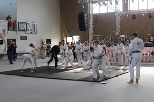 Pokaz walk ju-jitstu i judo (photo)