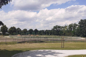 Staw w Miejskiej Górce (photo)