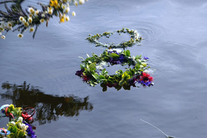  (photo)